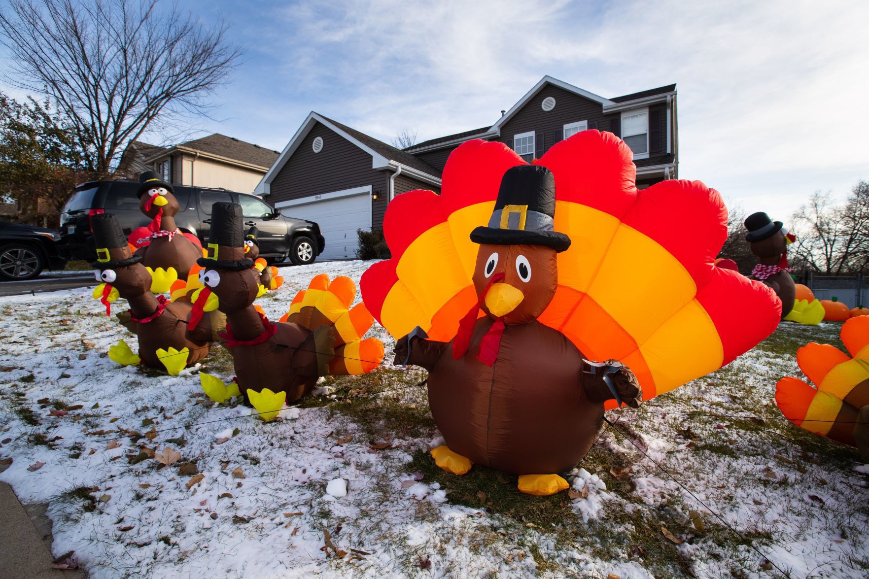 Turkey wars